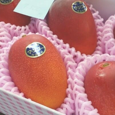 宮崎　サーフガイド　青島