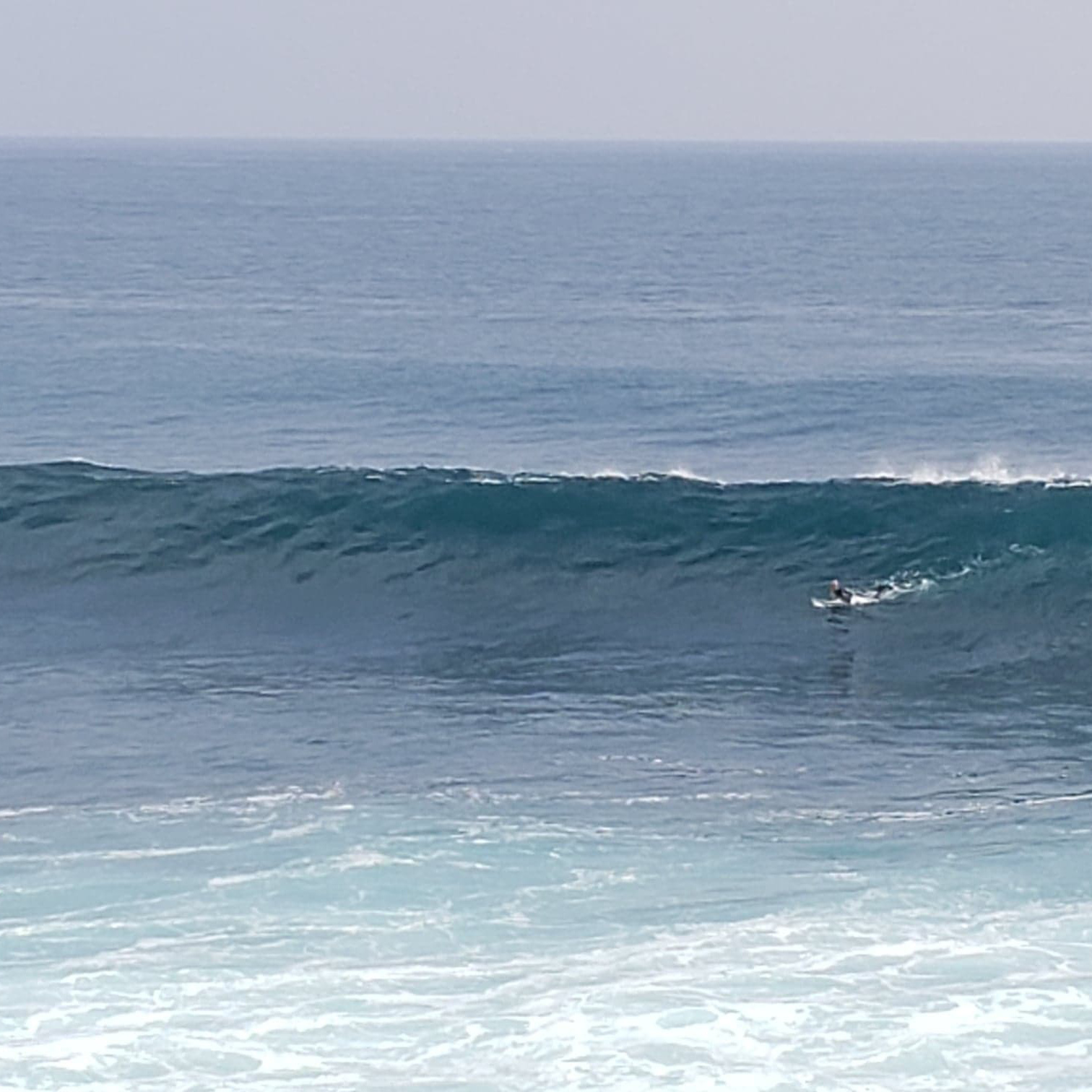宮崎　サーフィン　貸し切り