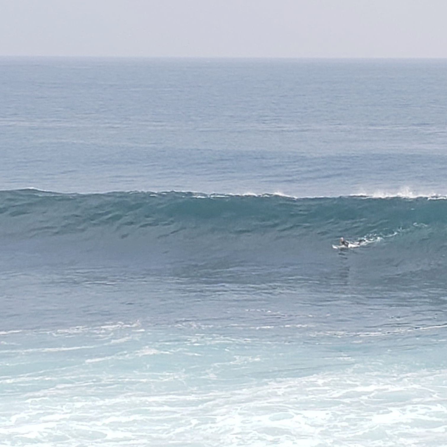 宮崎　サーフィン　貸し切り