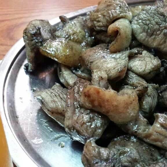 宮崎　観光　地鶏